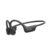 Wireless Bone Conduction Headphones Sanag B21S (black)