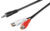 GOOBAY καλώδιο 3.5mm αρσενικό σε 2x θηλυκό RCA 50116, 1.5m, μαύρο