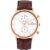 Ανδρικά Ρολόγια Ben Sherman WB041TRG (Ø 43 mm)