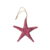 Διακοσμητικό αστερίας 25cm 2τμχ – Decorative starfish